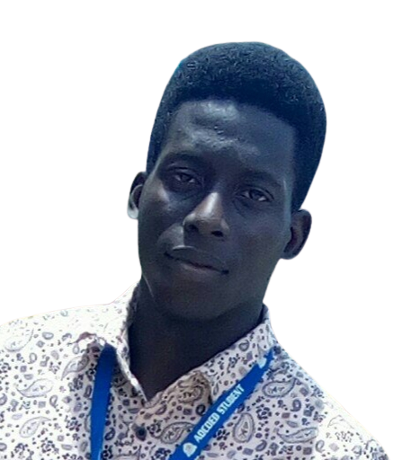 Ebire Folayemi Michaels Image, simplismism